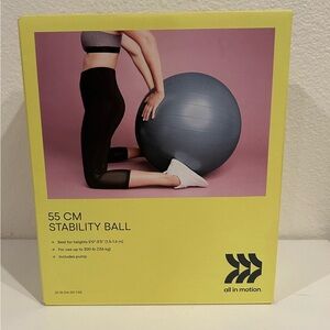 All In Motion 55cm Stability Ball